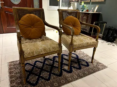 Comfortable Luxurious Chairs for TV Lounge
