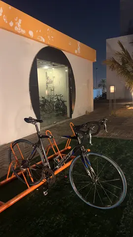 Giant bird bike SCR 2.0 shimano 105 L frame