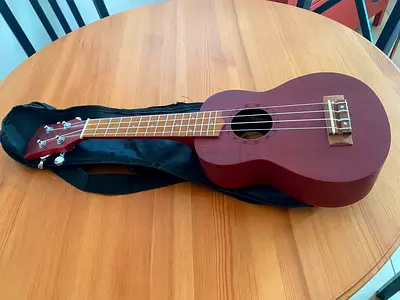 Concert Ukulele with Soft Case - Good Condition