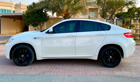 2014 BMW X6 缩略图 6