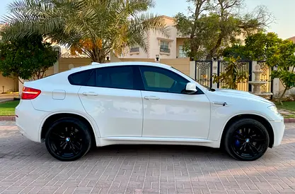 2014 BMW X6 缩略图 5