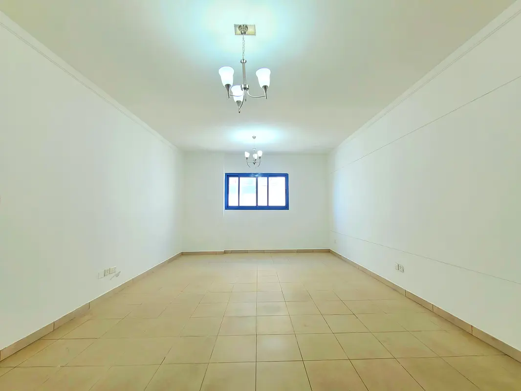gallery-video