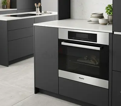 Miele DG 4080 60cm Built-In Steam Oven – German Premium Quality