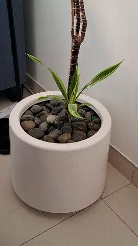 Big and heavy plant pot with soil and pebbles