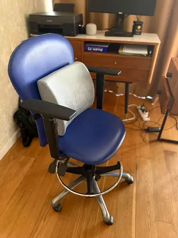 Office Chair with  Support