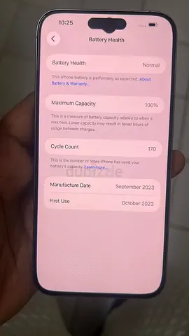 iPhone with 100% Battery Health — Used Oct 2023, Mint Condition