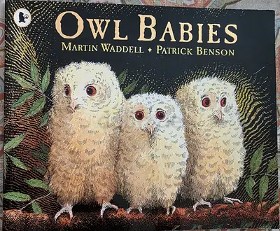 The Owl babies