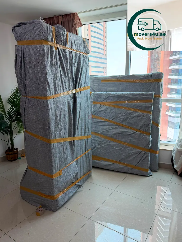 DPV_View_Image_4