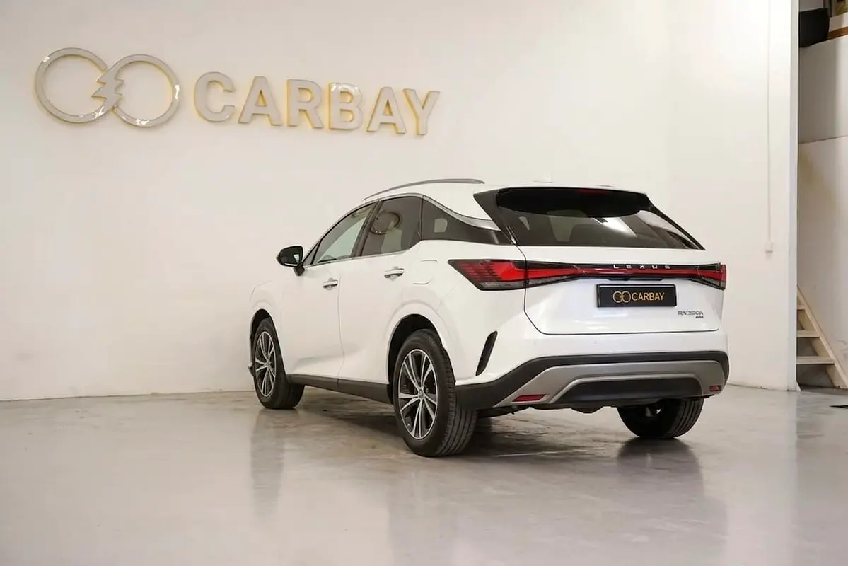 Lexus RX-Series 2025