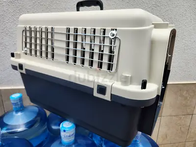 Cats and dogs carriers for air travel with metal mesh attached to the windows L 60