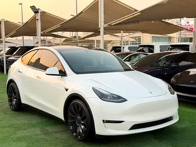 2023 Tesla MODEL Y 照片 2