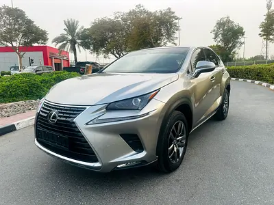 Lexus NX 300 Platinum 2019 GCC Specs