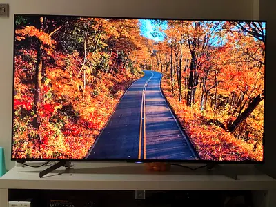65" LED Smart TV in Excellent Condition - Clear Picture