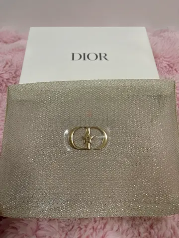 Dior small glitter clutch / evening pouch