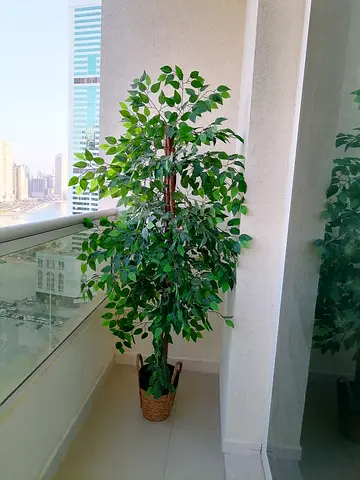 Artificial Tree Price Is Not Negotiatable