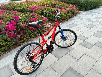 🚴‍♂️ Orange Spartan Ridge 24" Mountain Bike