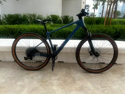 Focus Raven Carbon Mountain Bike