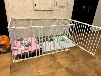 Full dog/puppy set up bed cage toys crate everything snacks food