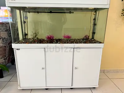 Large White Fish Tank with Cabinet Stand - 3-Door Aquarium Setup