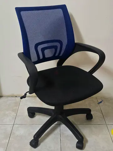 Ergonomic Blue Mesh Office Chair