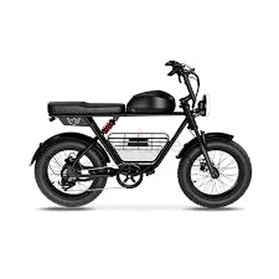 Wind Horse Electric Scooter 1000W 50KM Range 110KM Speed, D5