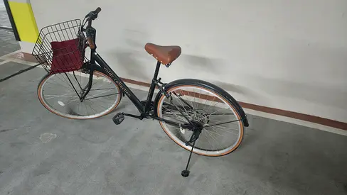 Voldy Collection Cruiser Bike with Front Basket