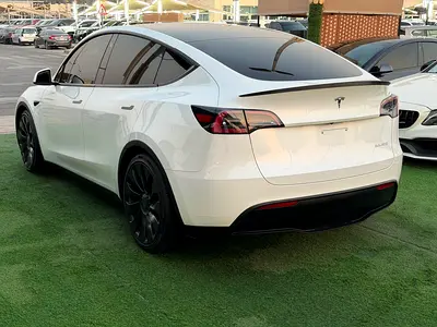 2023 Tesla MODEL Y 照片 4