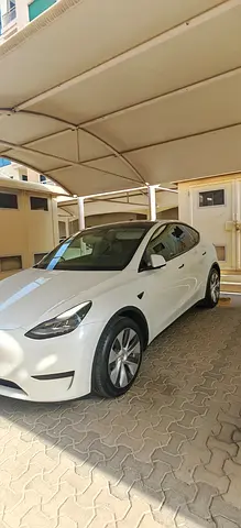 2024 Tesla MODEL Y 照片 3