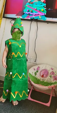 Green Christmas Tree Costume for Child - Dress and Hood for ages (3-6yrs)