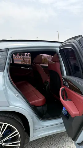 BMW X4 xDrive30i, миниатюра 8