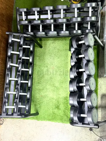 Technogym dumbbells
