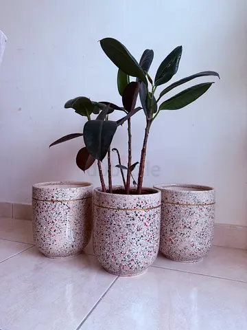 Set of 3 terrazzo-style ceramic plant pots