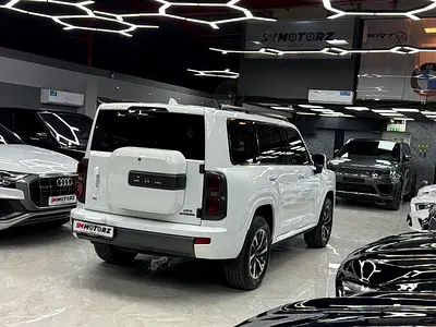 Haval H9 Dignity, миниатюра 5