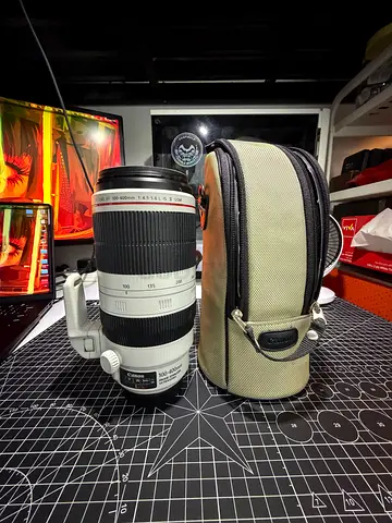 Canon 100-400mm