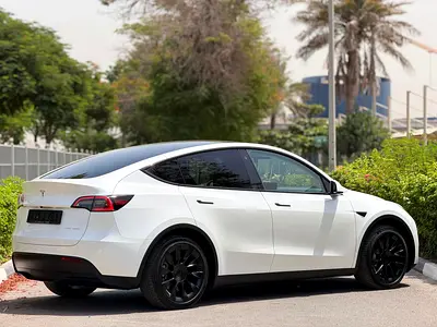 Tesla Model Y Long Range, миниатюра 12