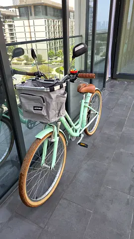 Electra bike and equipment
