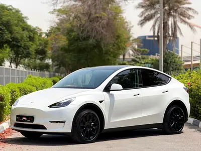 Tesla Model Y Long Range, миниатюра 2