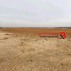 Commercial land for sale in Al Jimi Al Sulaimi