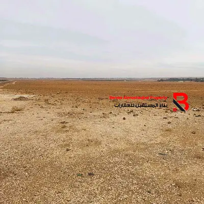 Commercial land for sale in Al Jimi Al Sulaimi