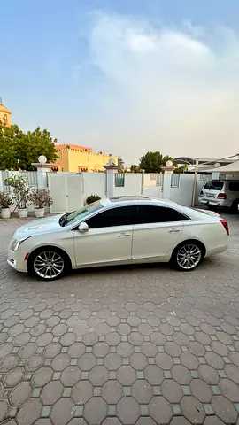 2014 Cadillac XTS 照片 3