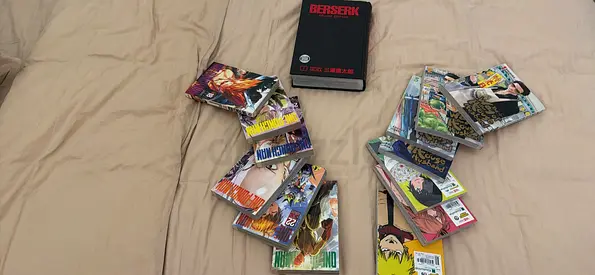 Manga lot