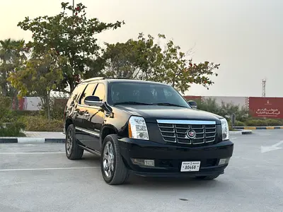 2010 Cadillac ESCALADE — фото 2