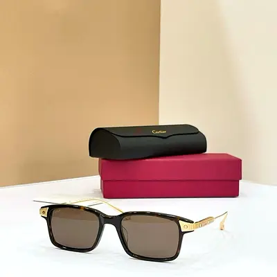 Cartier-style Brown Tortoiseshell Sunglasses with Gold Arms (With Case)