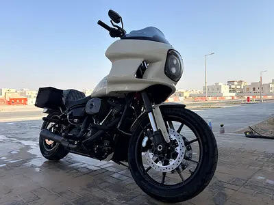 2023 Low Rider S Custom