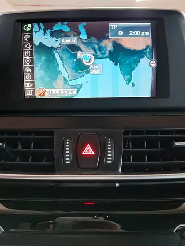 2015 BMW 2-SERIES 照片 15