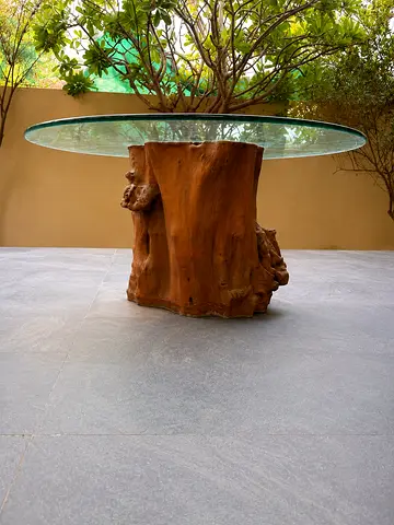 Tree Root Dining Table 6 to 8 people