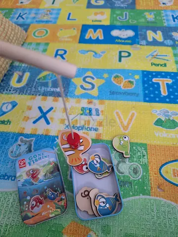 Fish catching toy
