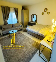 Luxury second-occupancy studio apartment with a separate kitchen and open balcony. Fully furnished. 