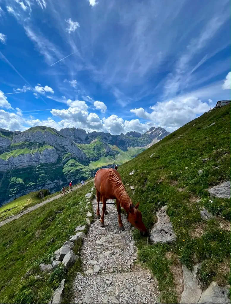 DPV_View_Image_3