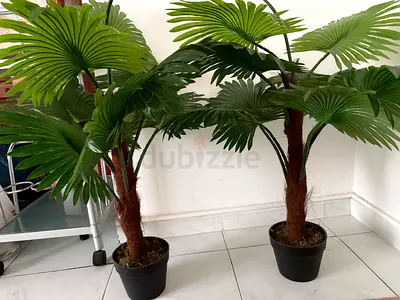 Pair of artificial palm plants in pots — ready to decorate